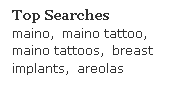 maino search